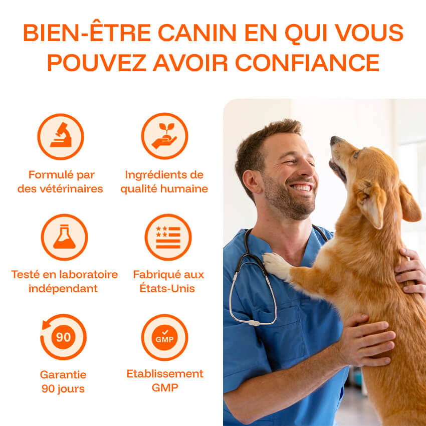 Pawprint Lab