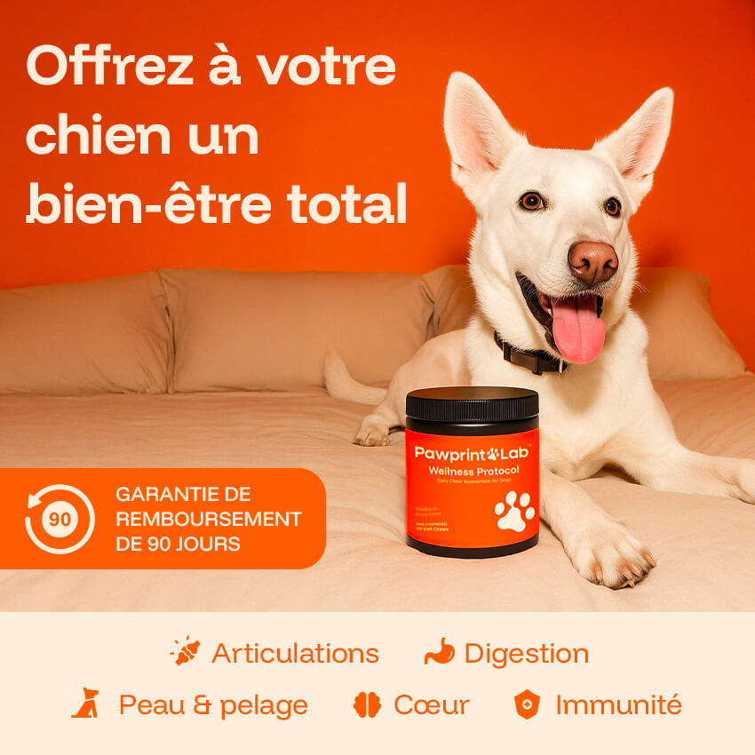 Pawprint Lab Wellness Protocol