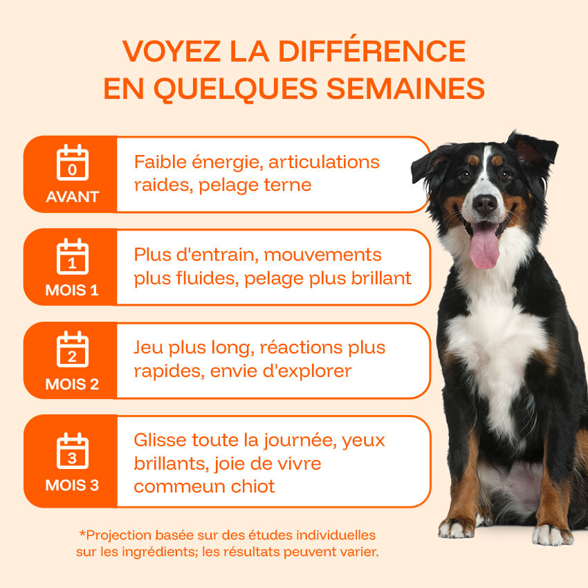 Pawprint Lab Wellness Protocol