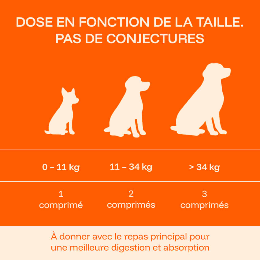 Pawprint Lab Wellness Protocol