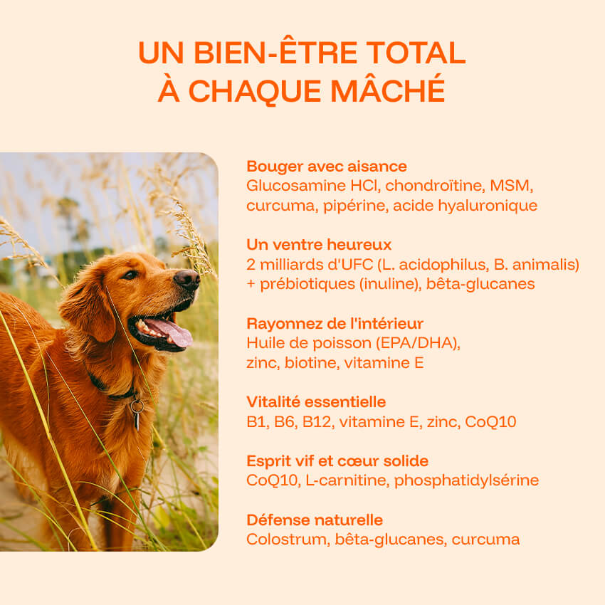 Pawprint Lab Wellness Protocol