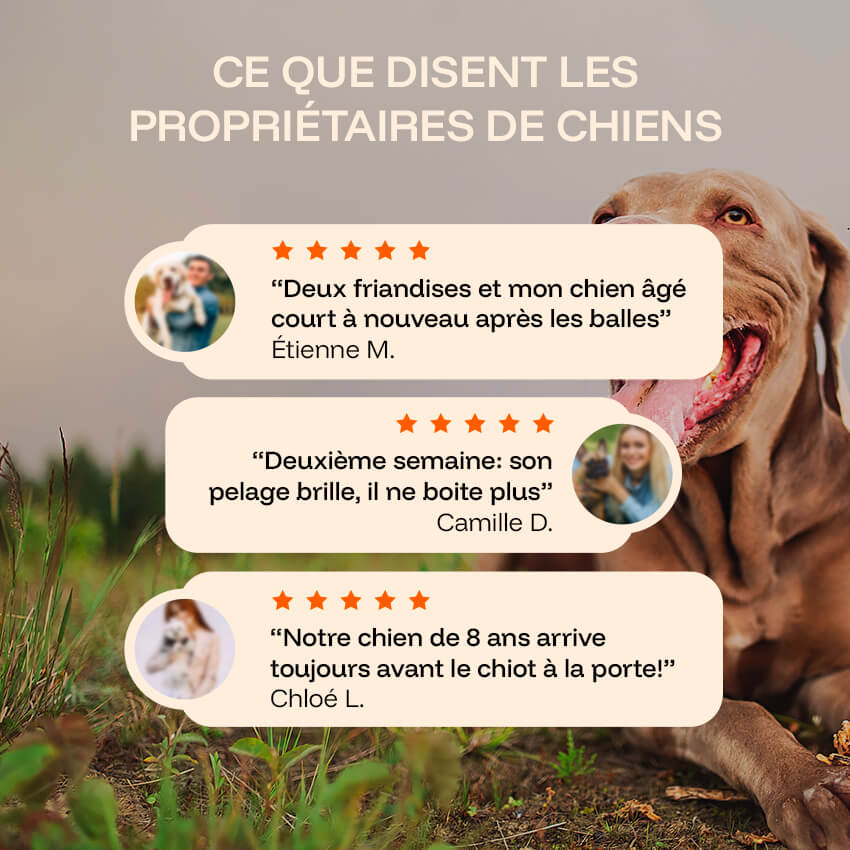 Pawprint Lab Wellness Protocol